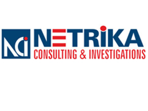 Netrika Consulting India Pvt Ltd